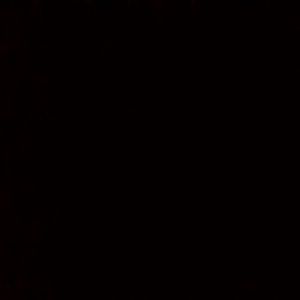 Meet your Posher, Frank